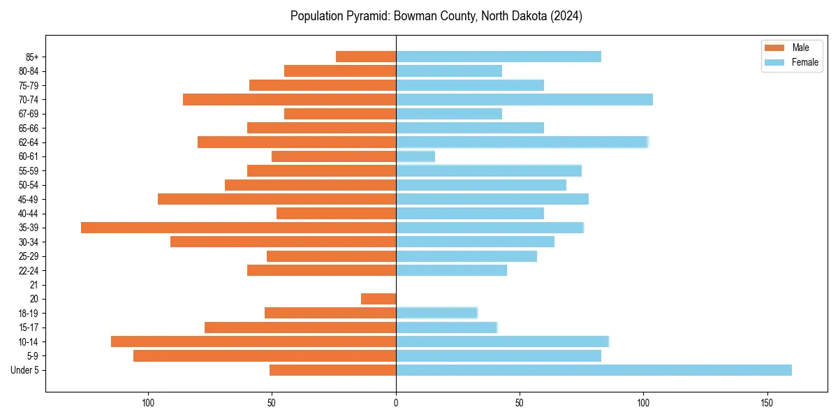 Population pyramid for 