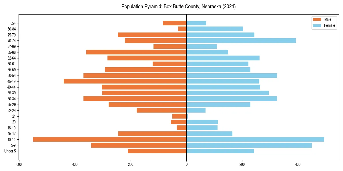 Population pyramid for 