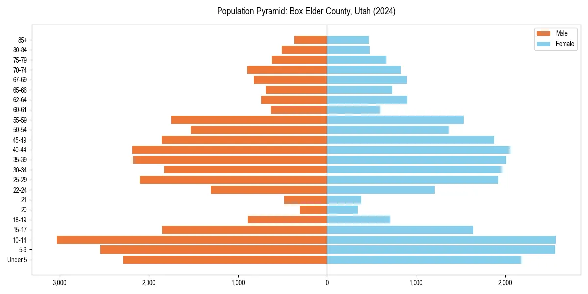 Population pyramid for 