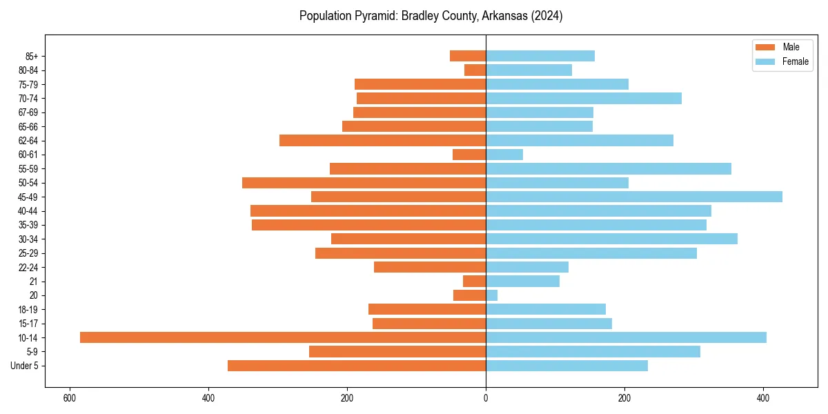 Population pyramid for 