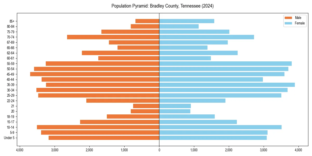 Population pyramid for 