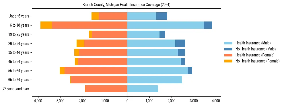 Health insurance pyramid for Branch County, Michigan