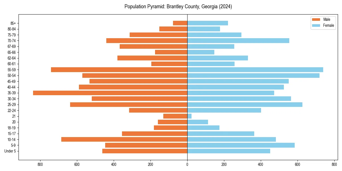 Population pyramid for 