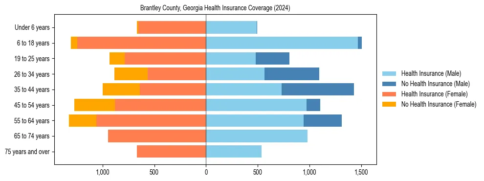 Health insurance pyramid for Brantley County, Georgia