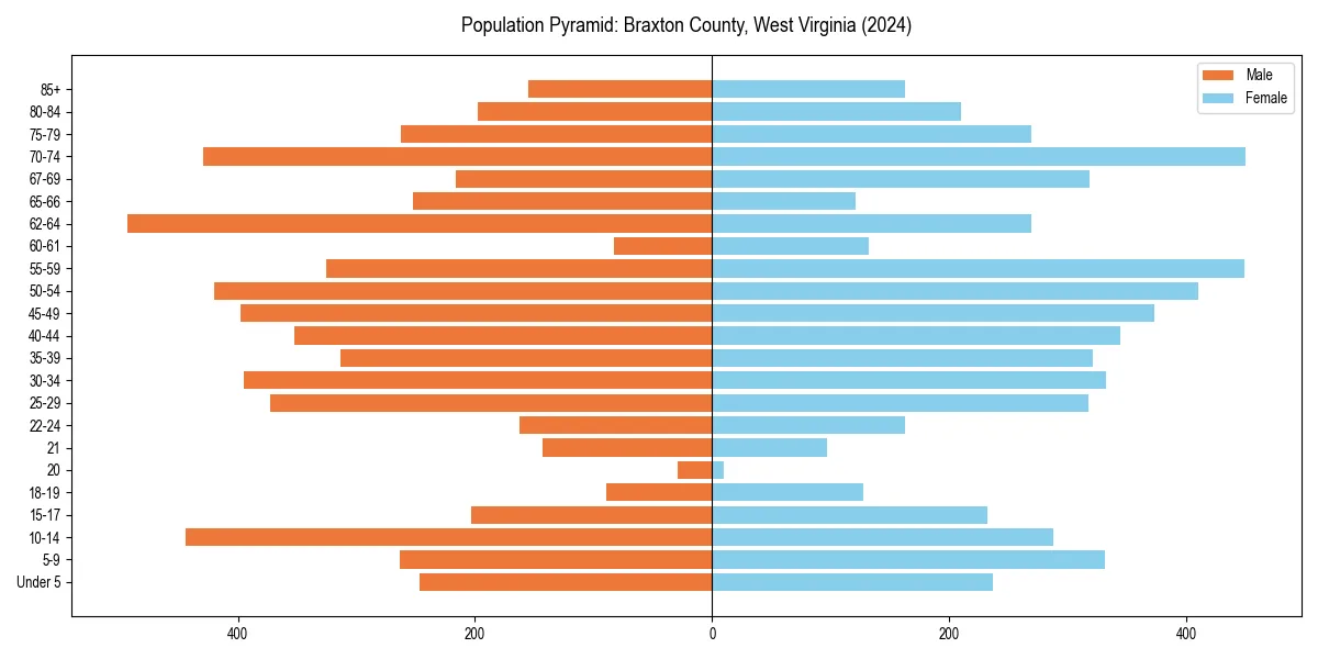 Population pyramid for 