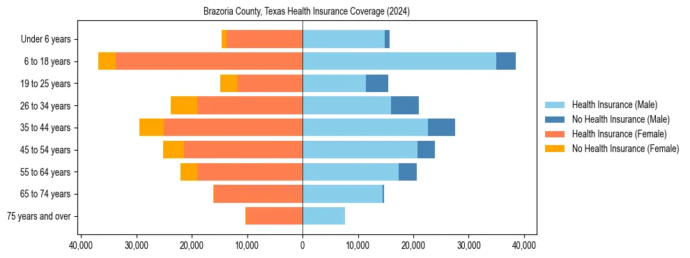 Health insurance pyramid for Brazoria County, Texas