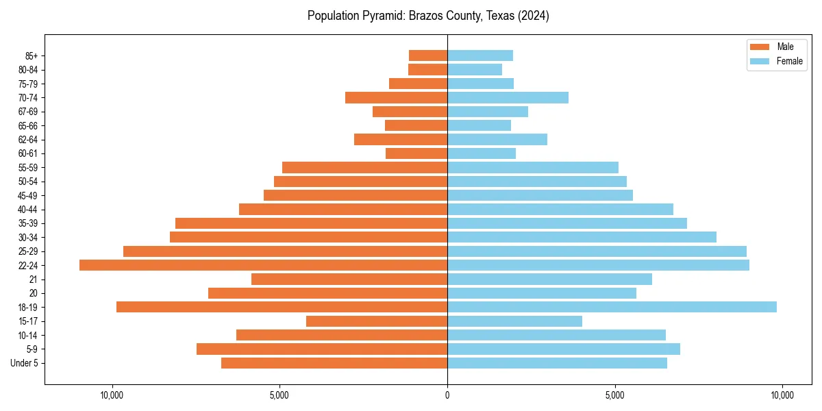 Population pyramid for 
