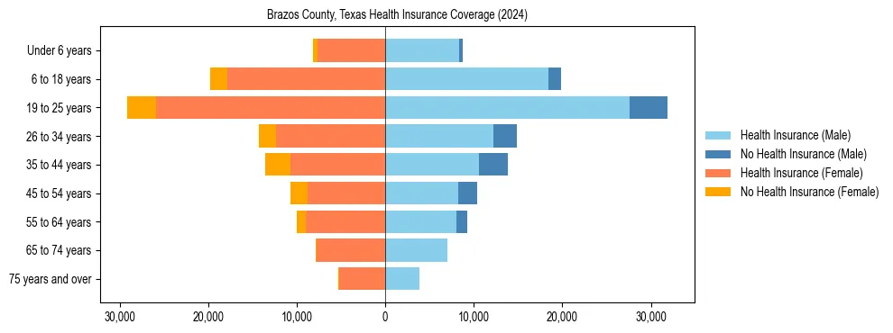 Health insurance pyramid for Brazos County, Texas