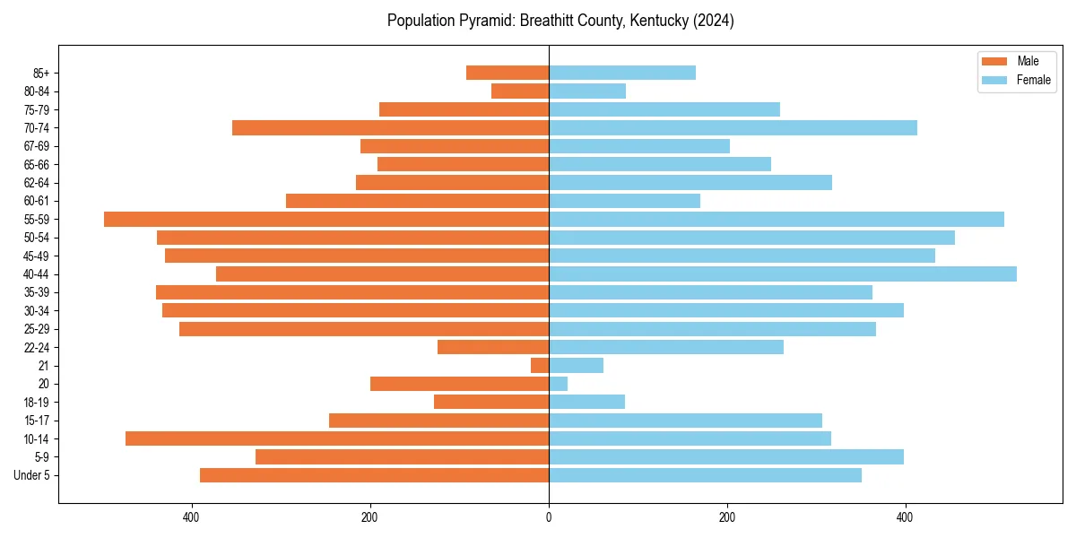 Population pyramid for 