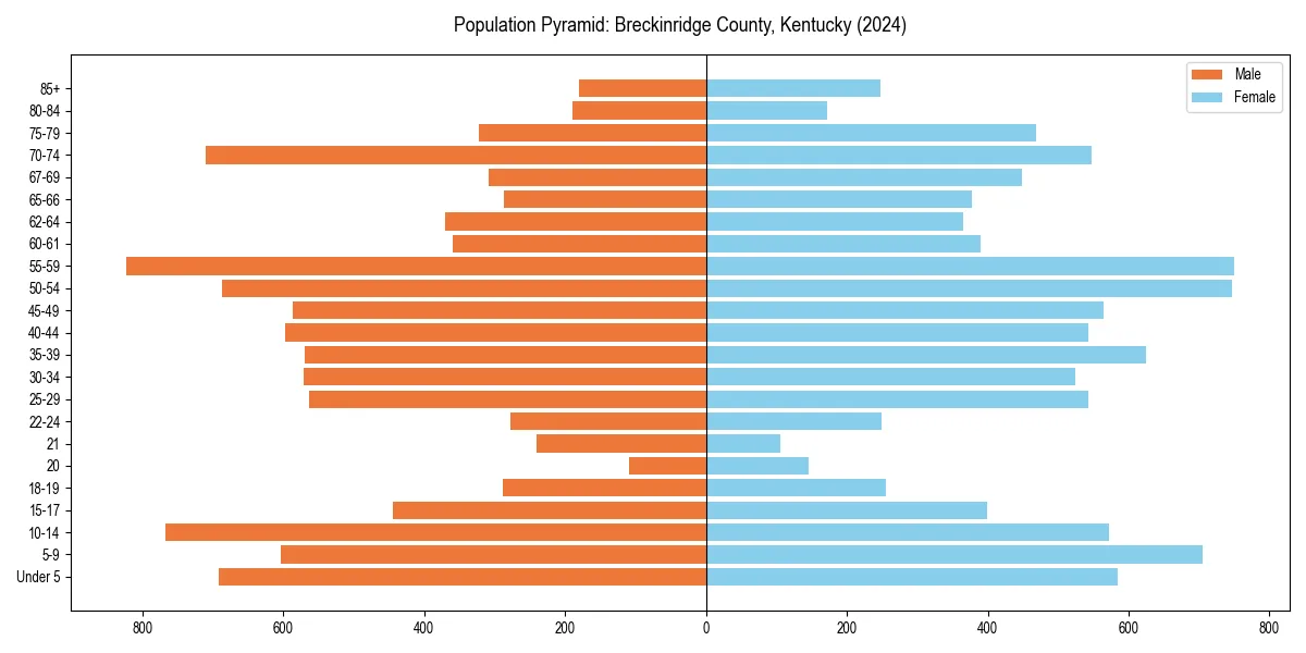 Population pyramid for 