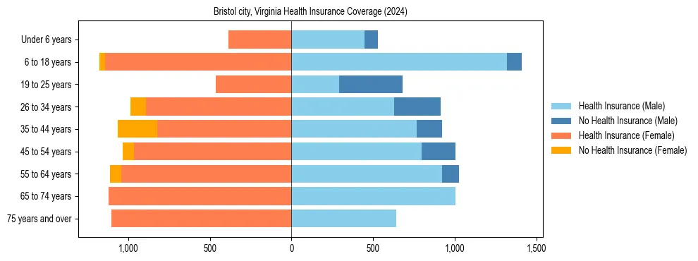 Health insurance pyramid for Bristol city, Virginia