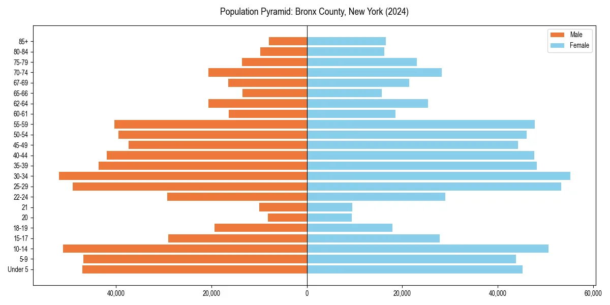 Population pyramid for 