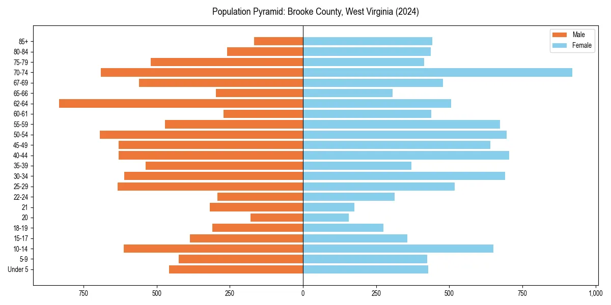 Population pyramid for 