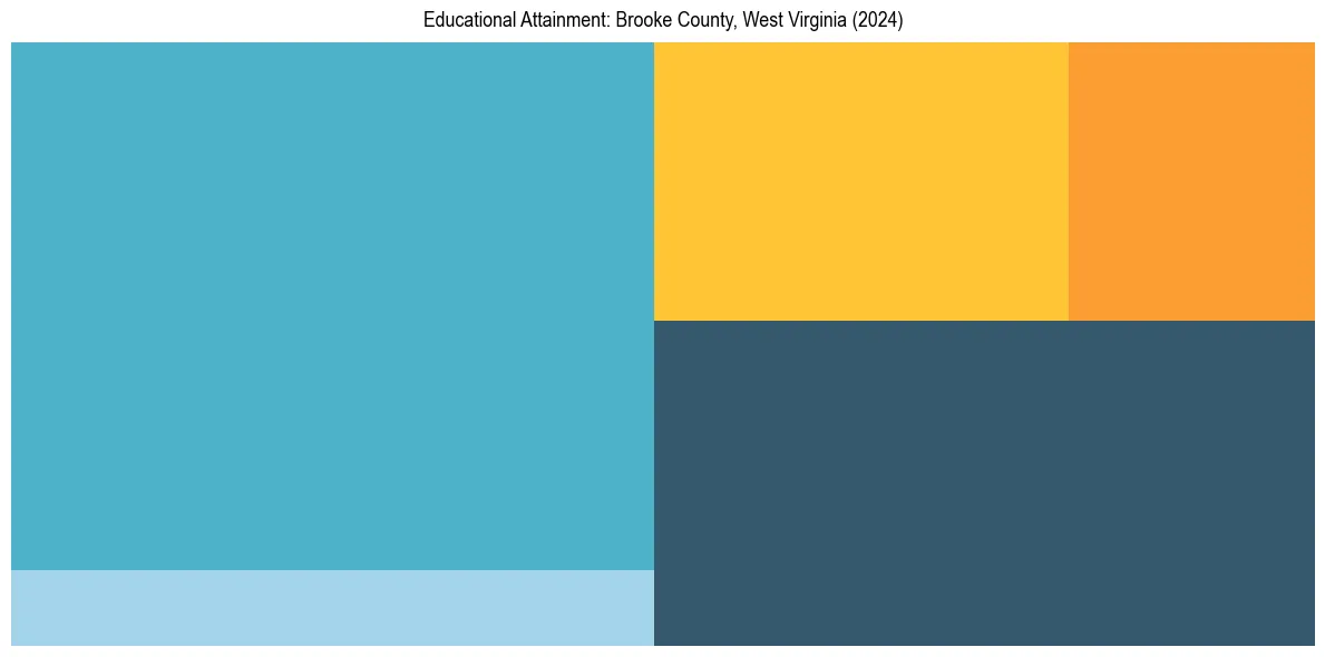 Education Treemap for  in 2024