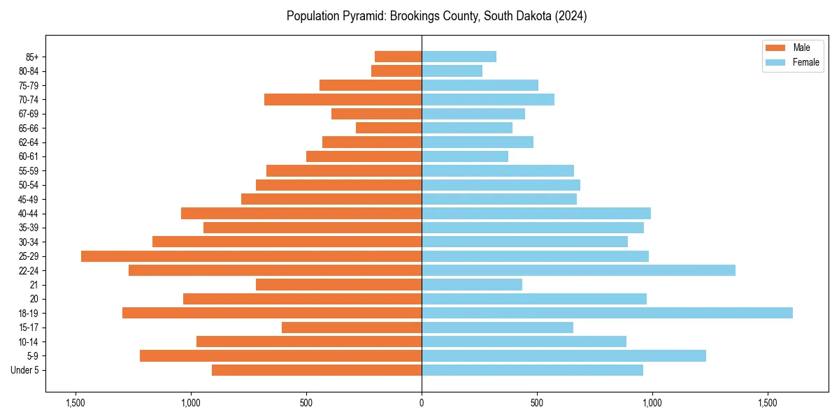 Population pyramid for 