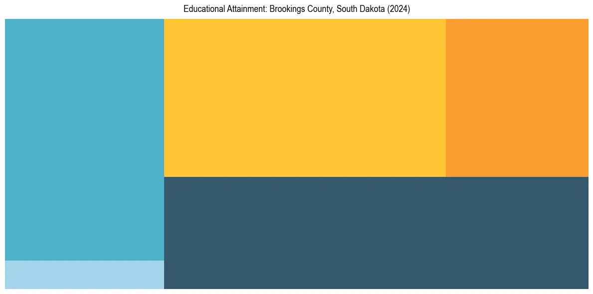 Education Treemap for  in 2024