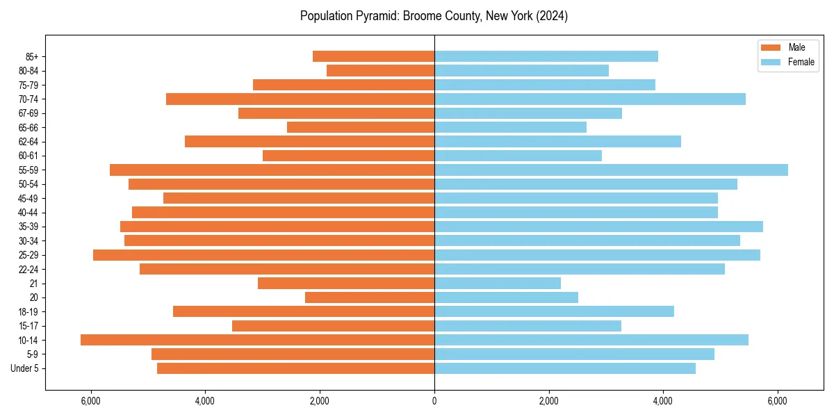 Population pyramid for 