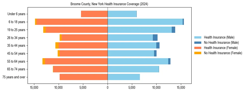 Health insurance pyramid for Broome County, New York