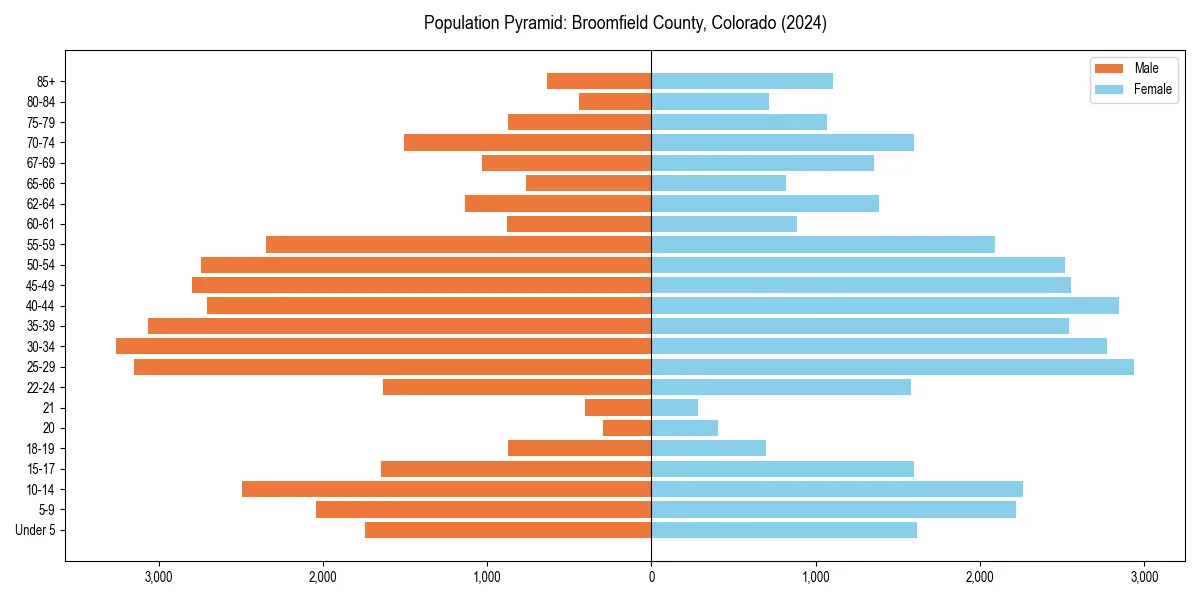 Population pyramid for 