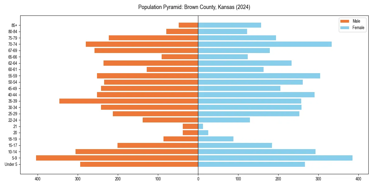Population pyramid for 