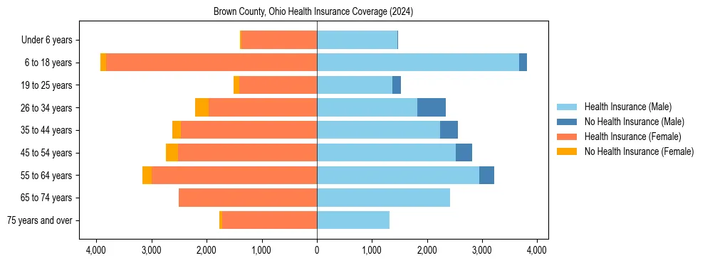 Health insurance pyramid for Brown County, Ohio
