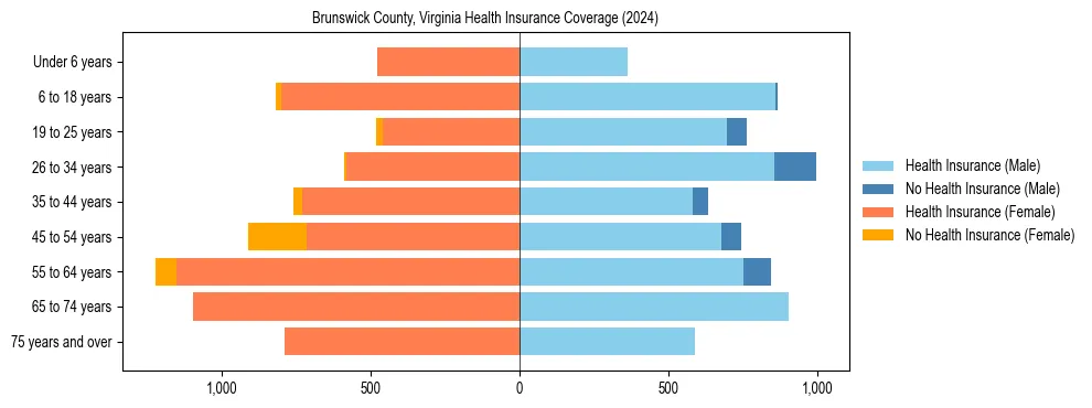 Health insurance pyramid for Brunswick County, Virginia