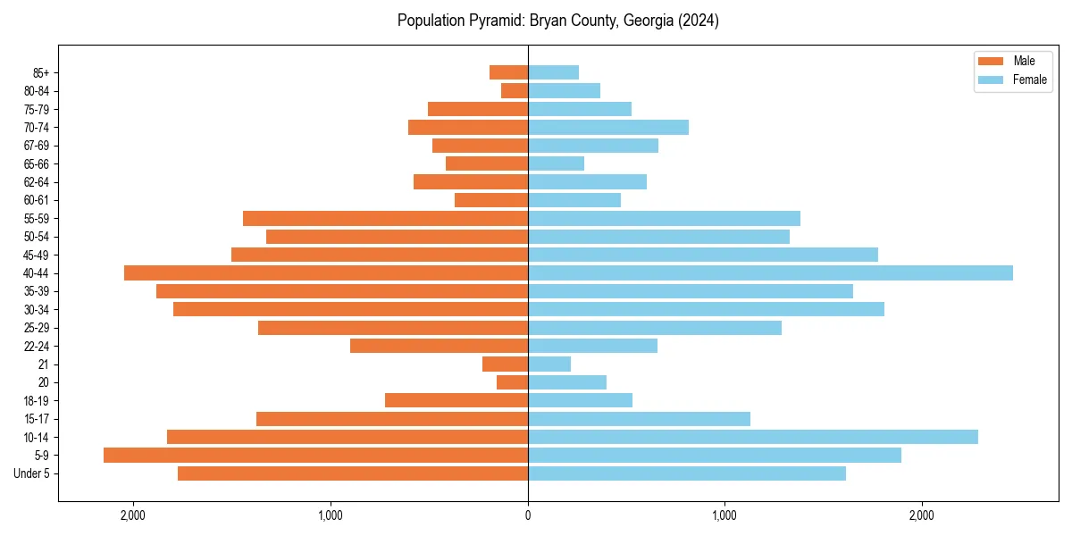 Population pyramid for 