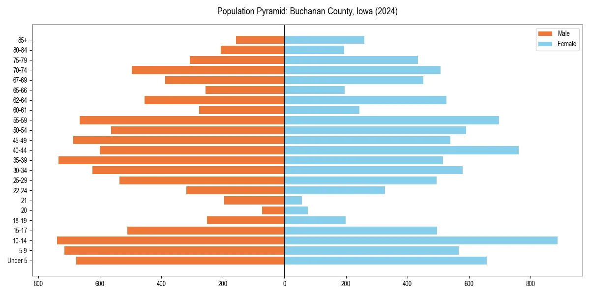 Population pyramid for 