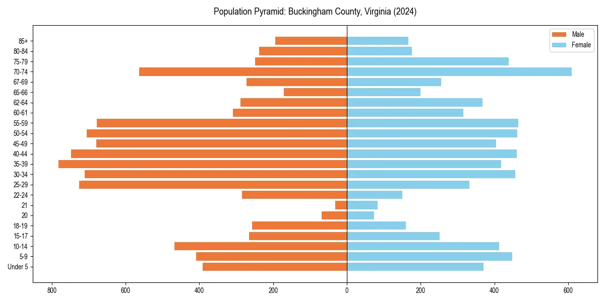 Population pyramid for 