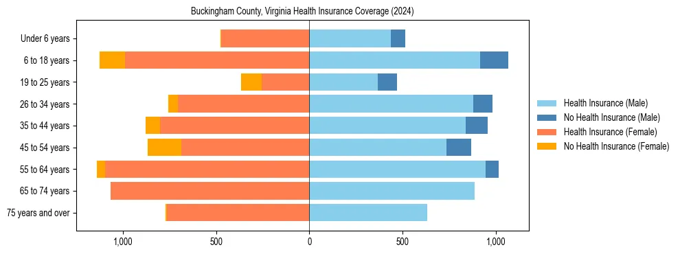 Health insurance pyramid for Buckingham County, Virginia