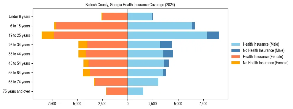 Health insurance pyramid for Bulloch County, Georgia