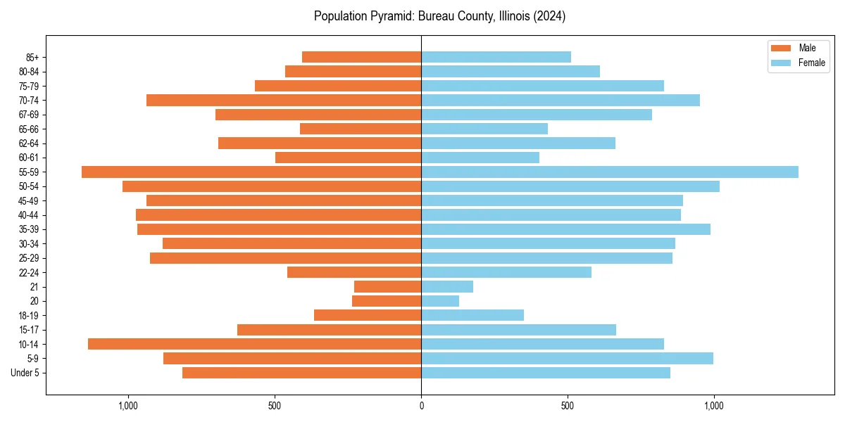 Population pyramid for 