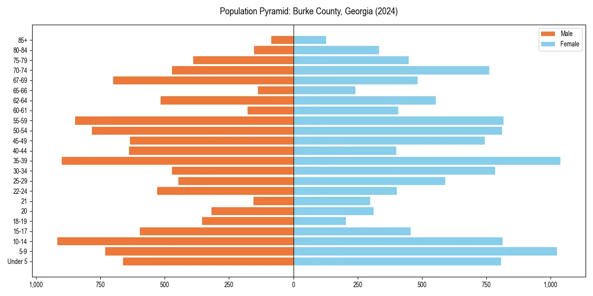 Population pyramid for 