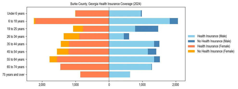Health insurance pyramid for Burke County, Georgia