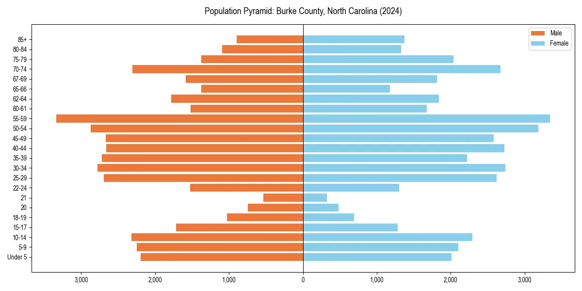Population pyramid for 