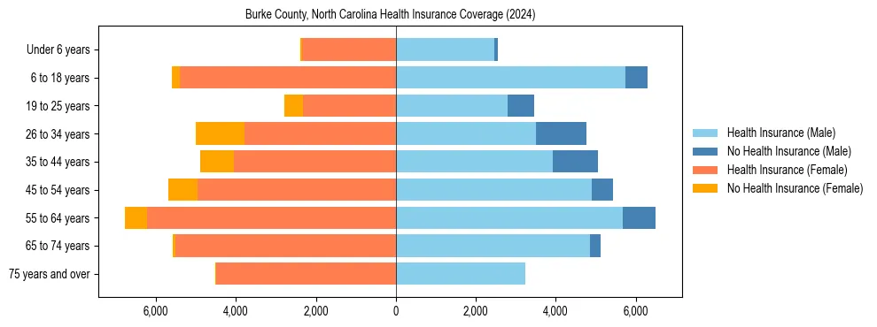 Health insurance pyramid for Burke County, North Carolina