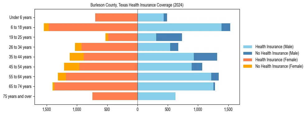 Health insurance pyramid for Burleson County, Texas