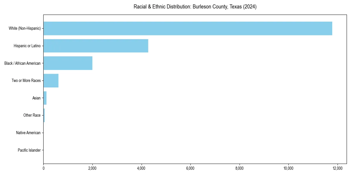 Bar chart showing racial distribution in  for 2024