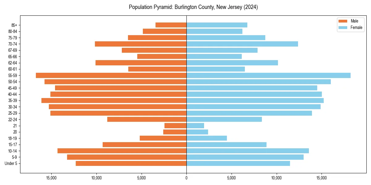 Population pyramid for 
