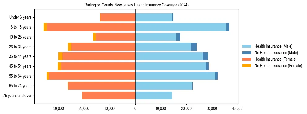 Health insurance pyramid for Burlington County, New Jersey