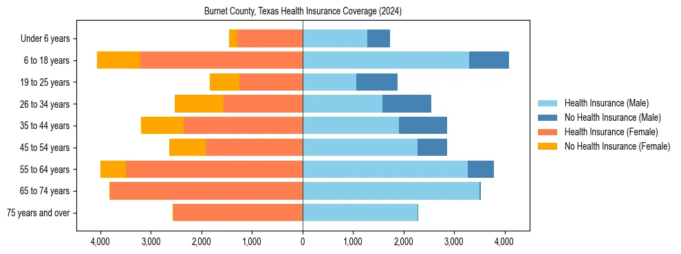 Health insurance pyramid for Burnet County, Texas
