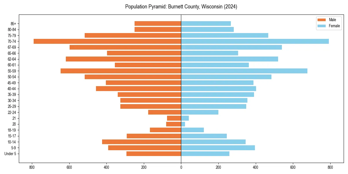 Population pyramid for 