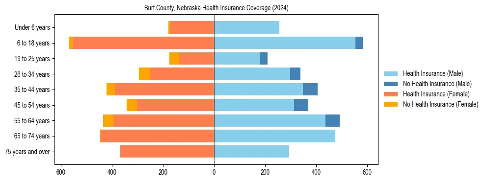 Health insurance pyramid for Burt County, Nebraska