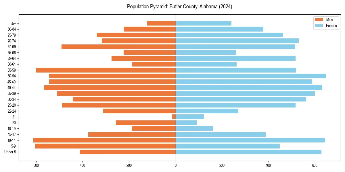 Population pyramid for 