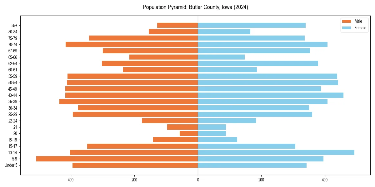 Population pyramid for 