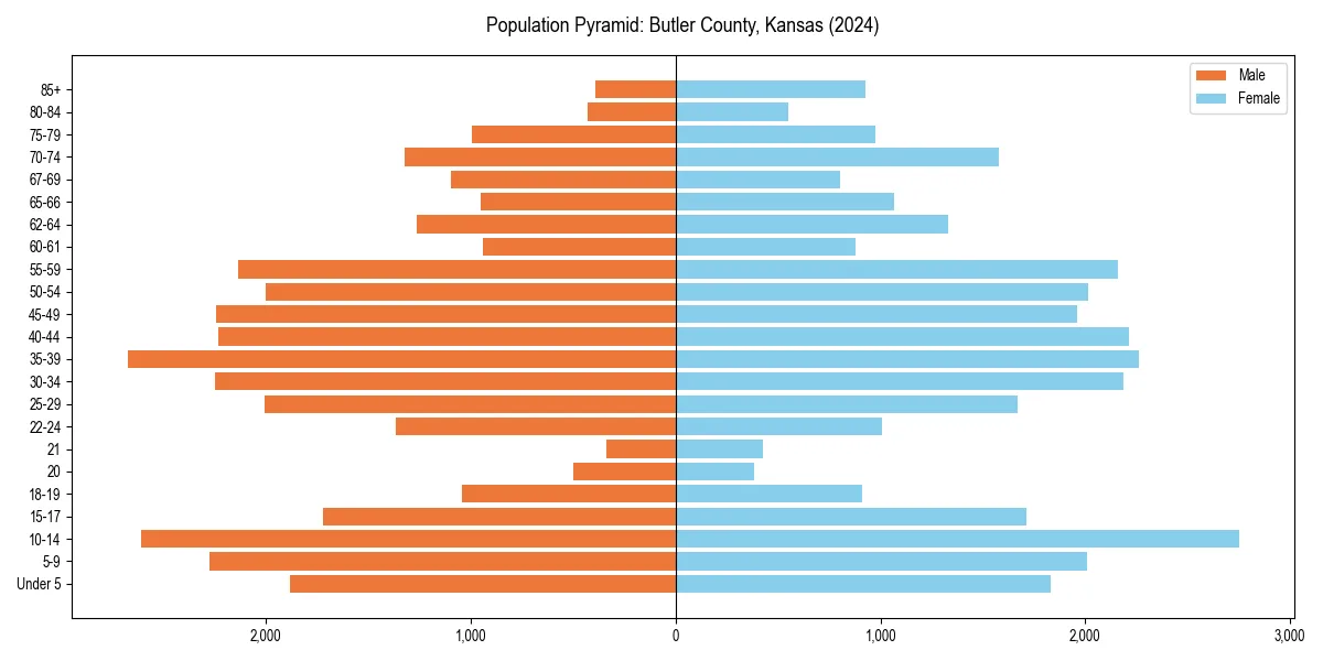 Population pyramid for 