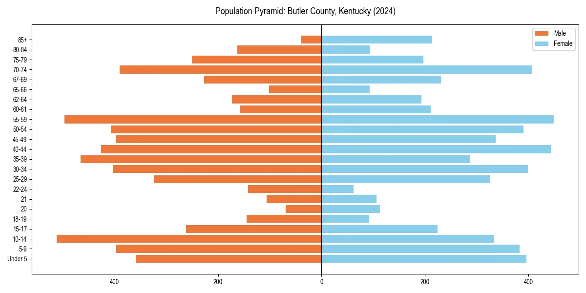 Population pyramid for 