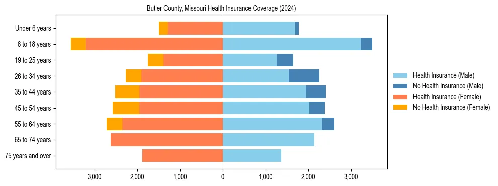 Health insurance pyramid for Butler County, Missouri