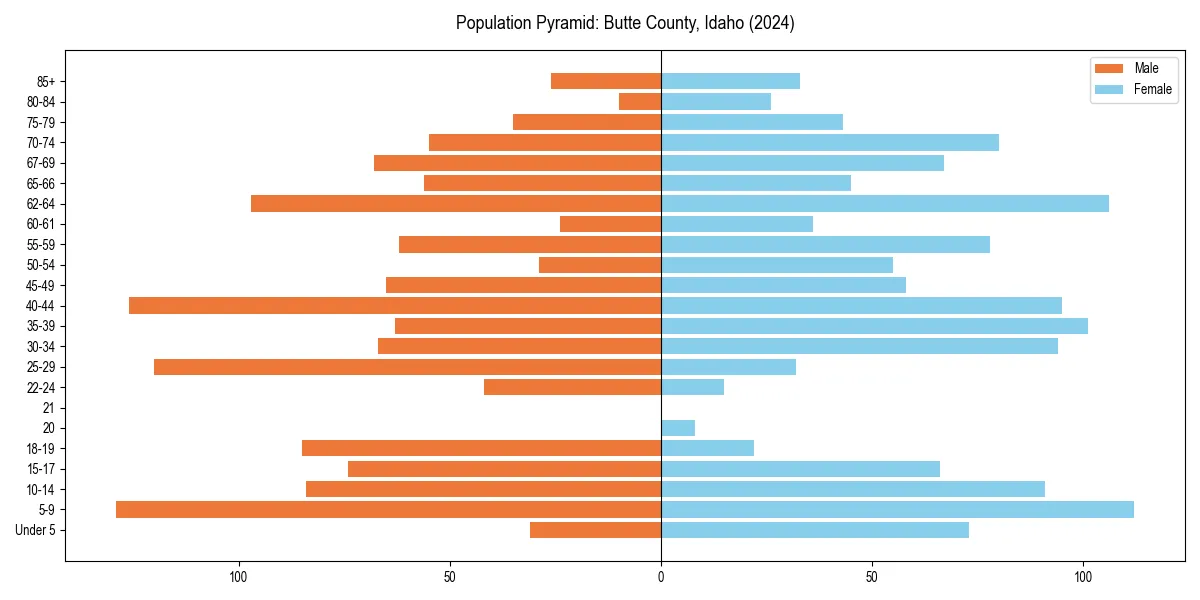 Population pyramid for 
