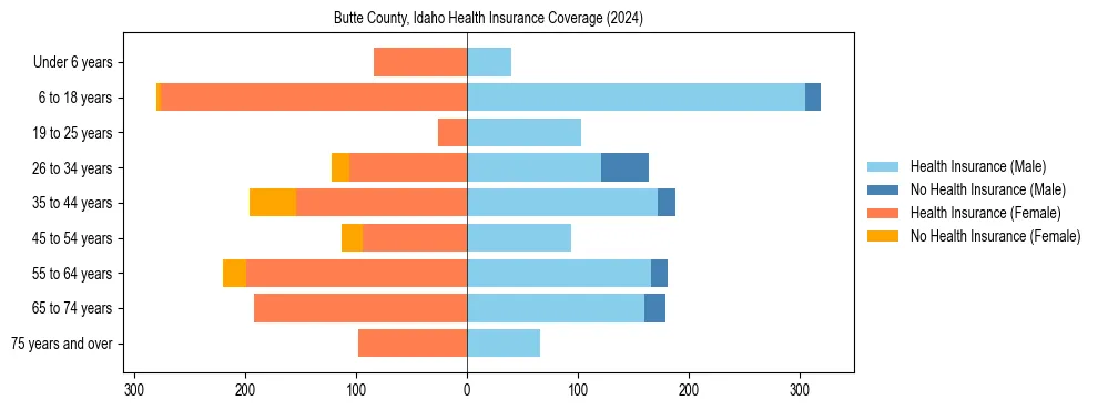 Health insurance pyramid for Butte County, Idaho
